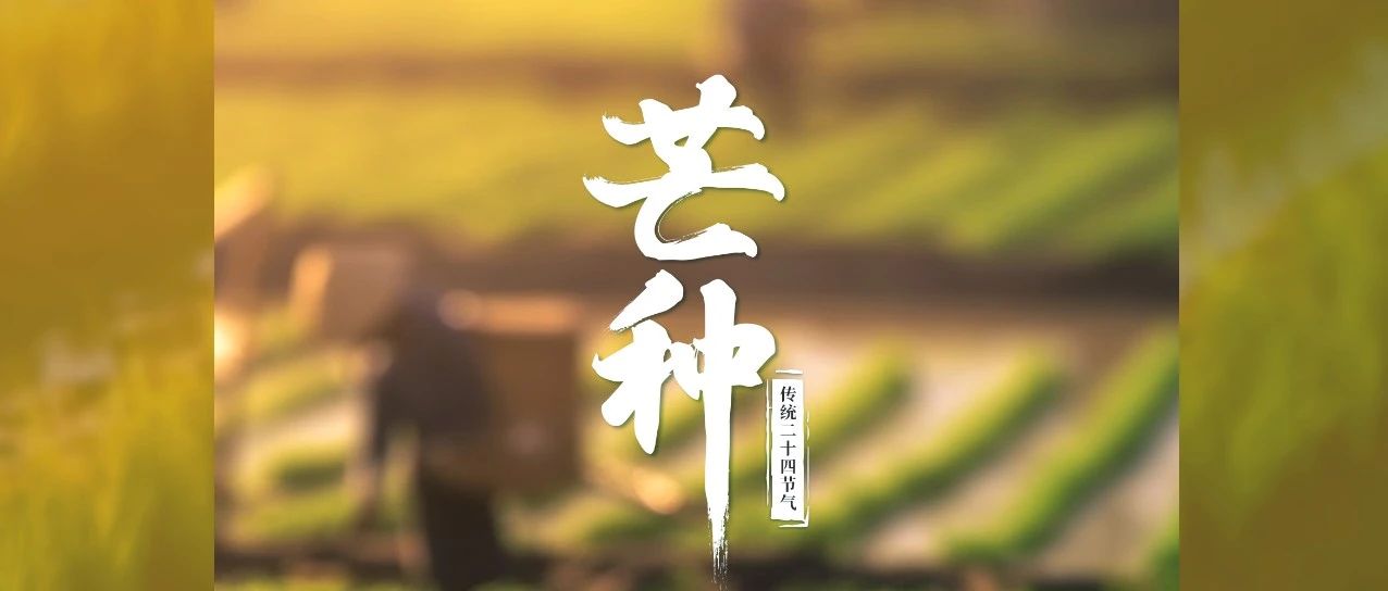 歲月不負耕耘，鐫刻美好豐碩