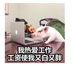 鵬博十二時(shí)辰之營運(yùn)部篇