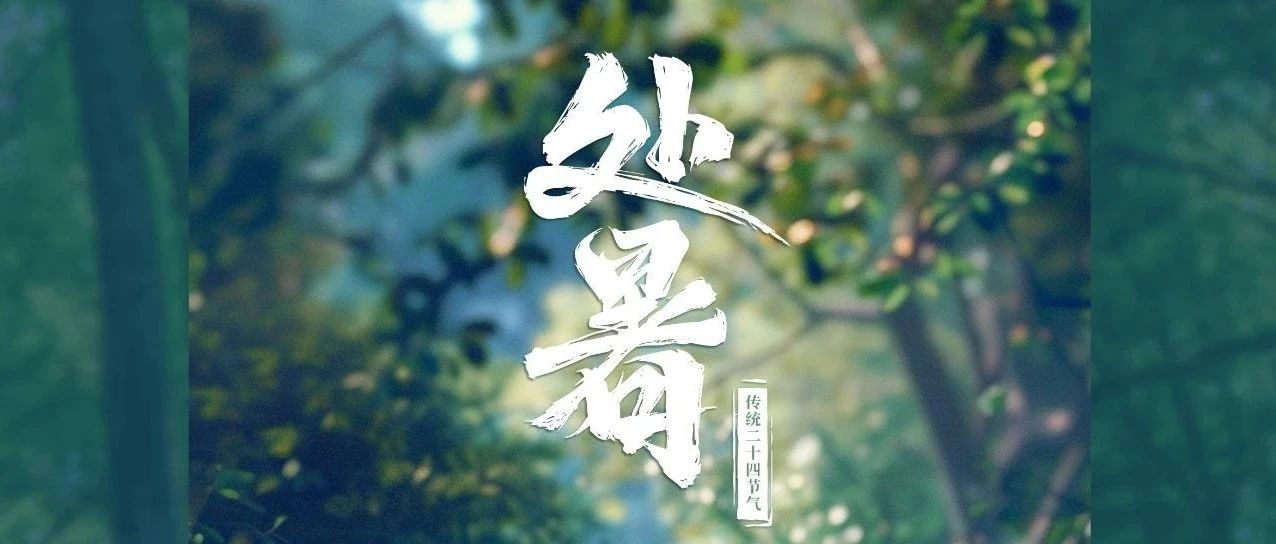 踏浪奔跑的盛夏，肆意撒歡的童年